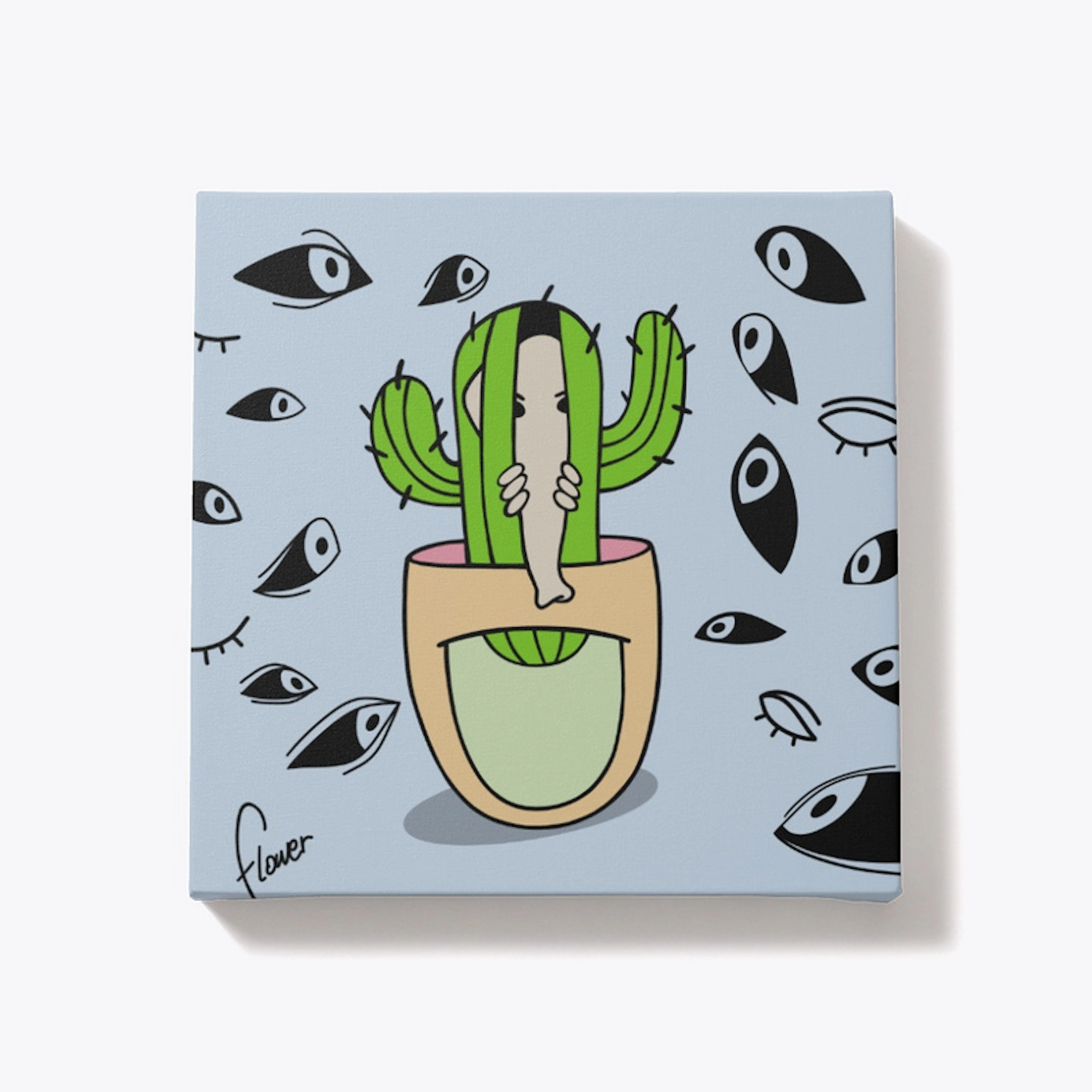 Story 9. Cacti collection 