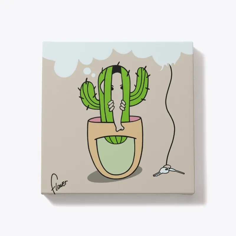 Story 26. Cacti collection 